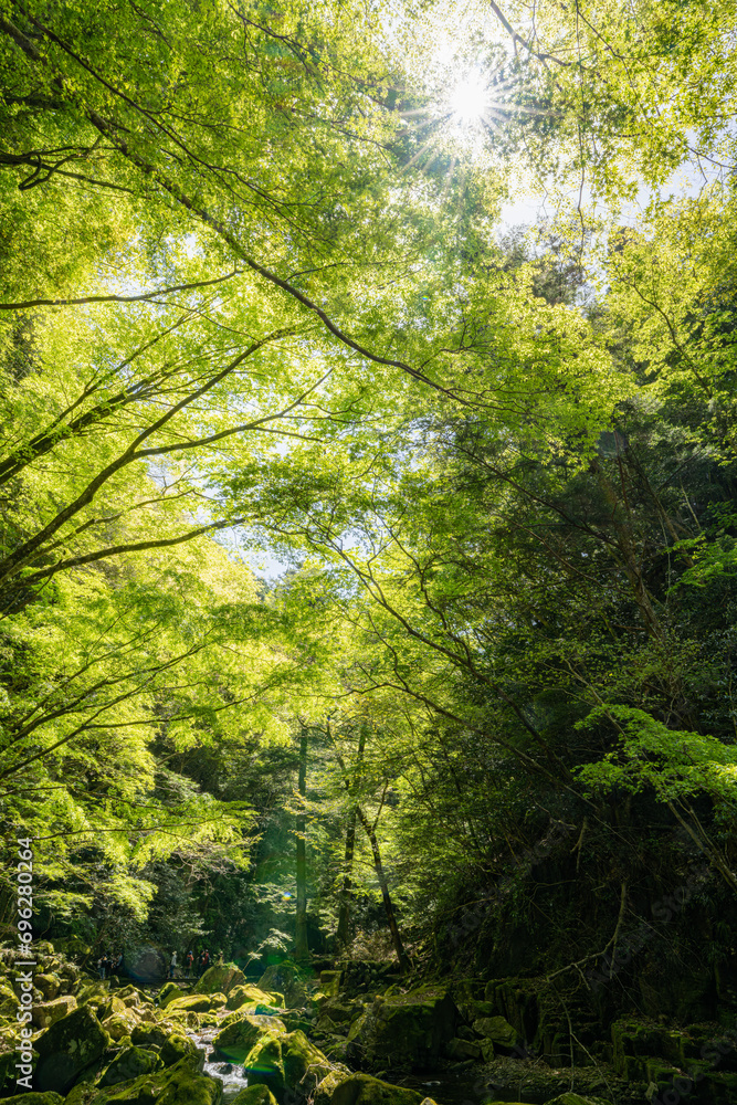 Obraz premium 三重-【赤目四十八滝（新緑）】