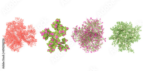 set of Bombax Cebia,Bougnevilla,Bougnevilla,Brunfelsia Americana flowers plants rendered from the top view, 3D illustration, for digital composition, illustration, 2D plans, architecture visualization