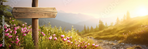 Wooden signpost mock up on a mountain trail among pink wildflowers at golden hour photo