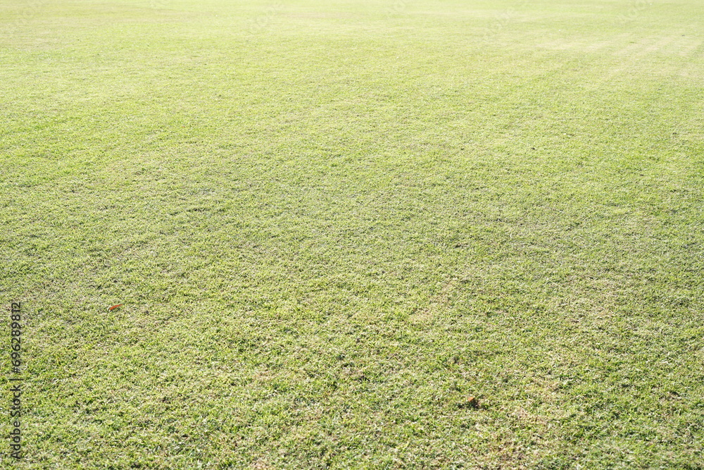 Green grass on the football field Green grass on the football field