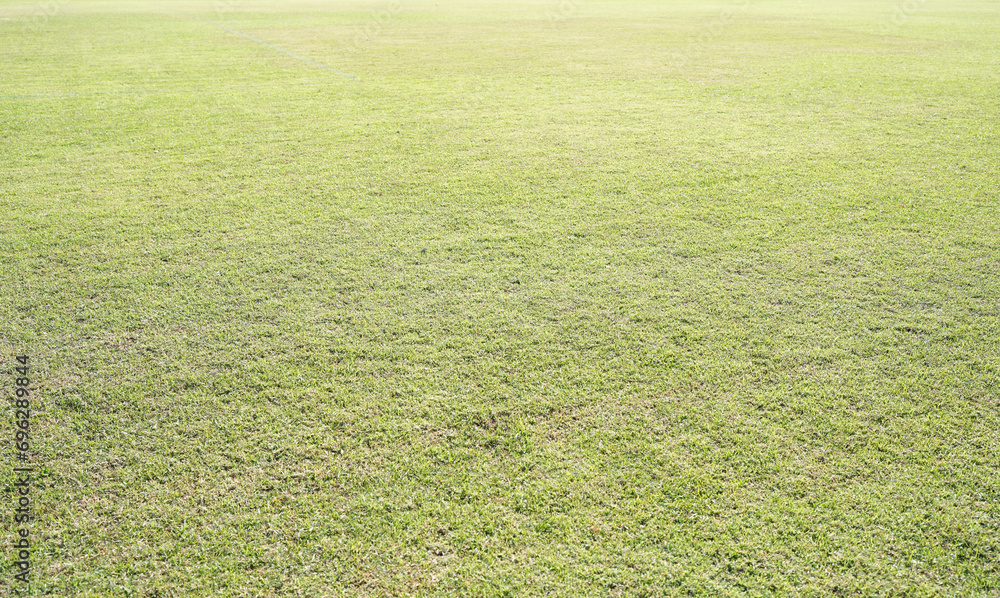 Green grass on the football field Green grass on the football field