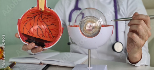 Ophthalmologist doctor holding part of eye model
