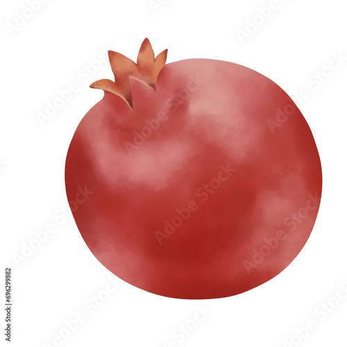 Promegranate illustration on white background photo