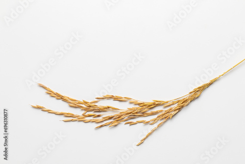 ears of wheat on white background