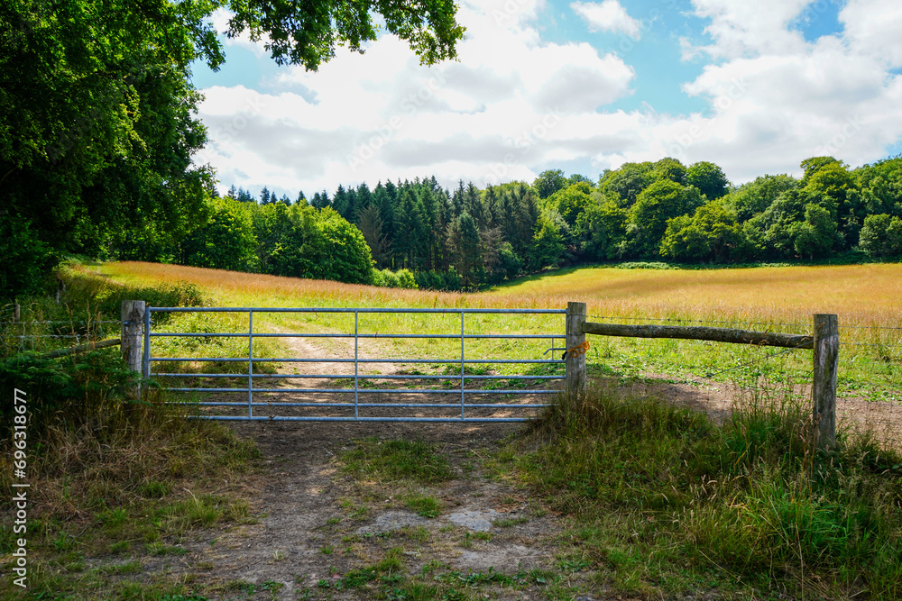 View of a metal gate Infront of farm fields 