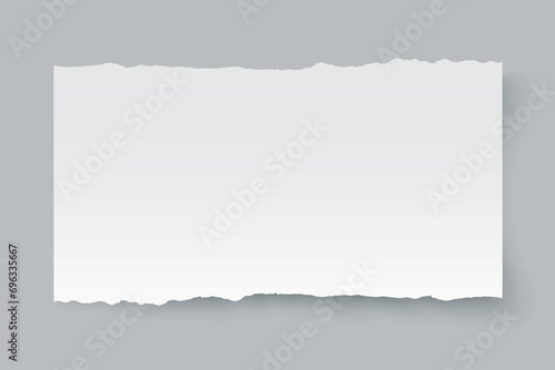 Vector blank sheet of horizontal torn paper. 