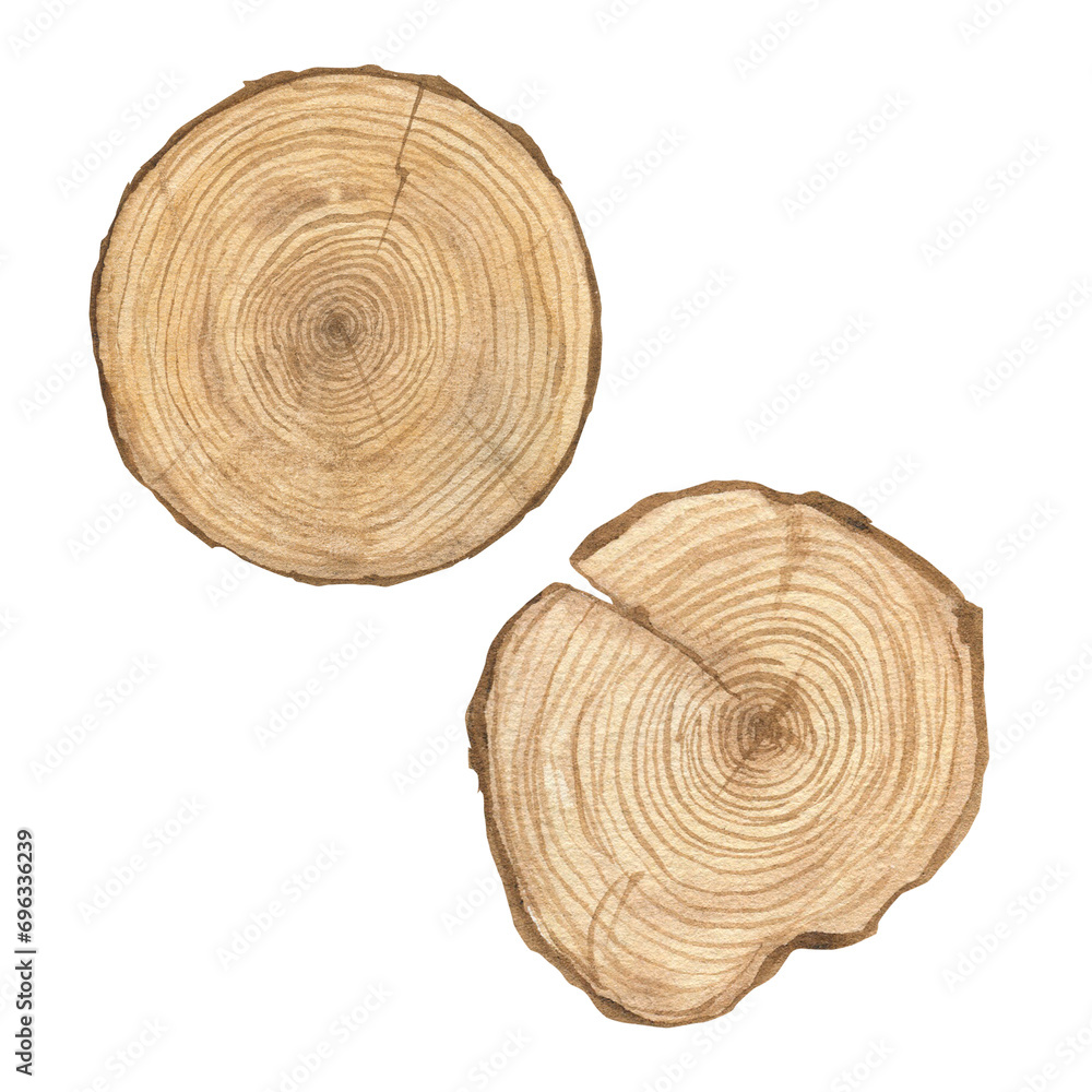 Obraz premium Watercolor illustration of set wood texture, round cut of wood, wooden rings isolated. Sawn wood. Handmade.