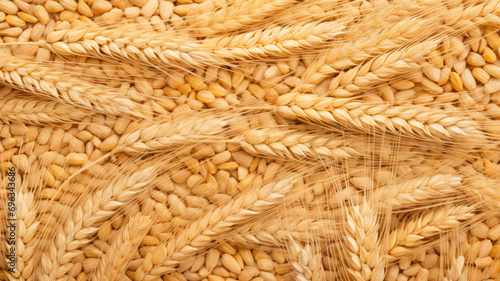 wheat and grains background
