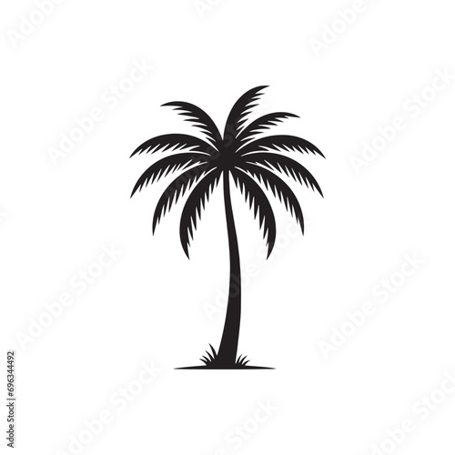 Palm Tree Silhouette  Aesthetic Depictions of Palm Trees in Silhouette Evoke a Tropical Paradise - Palm Tree Black Vector 