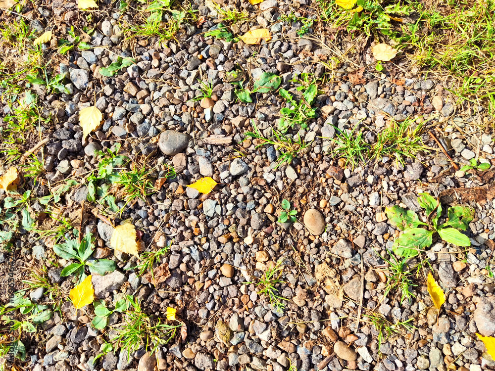 Top view on pebbles, fall yellow autumn leaf and green grass. Background, texture, frame, place for text Top view on pebbles, fall yellow autumn leaf and green grass. Background, texture, frame, place for text