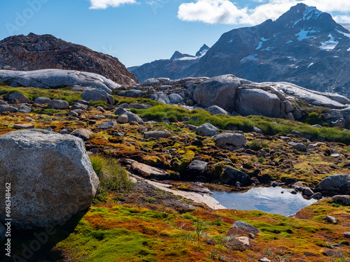 Sommerliche Landschaft in Grönland mit Moos und Wasser im Vordergrund und Berge im Hintergrund photo