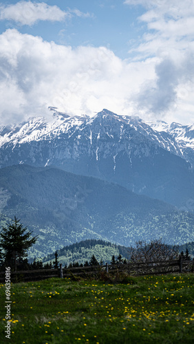 ROMANIA - Vertical landscape with mountains in the background