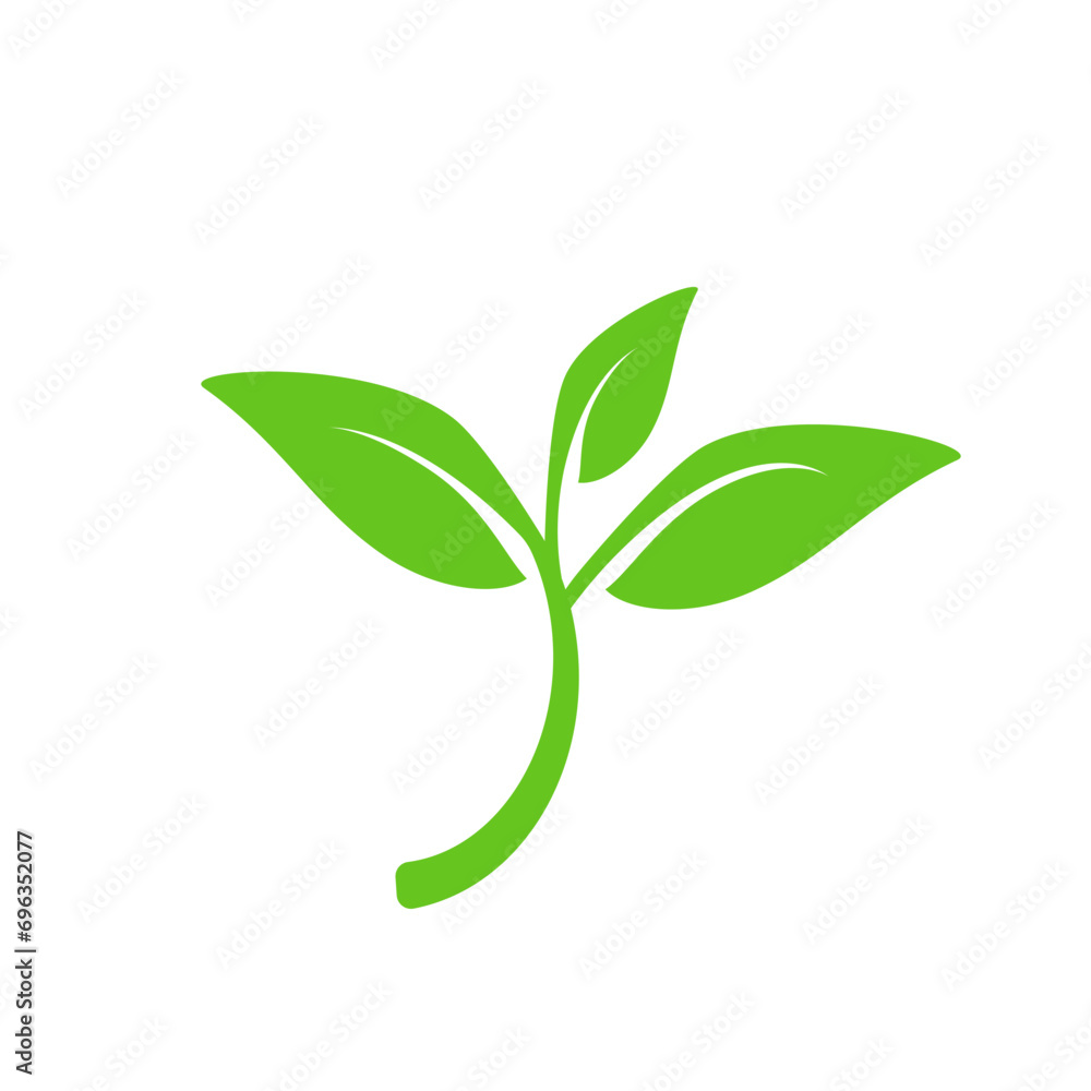 Fototapeta premium Green leaves isolated on white. Vector illustration design element