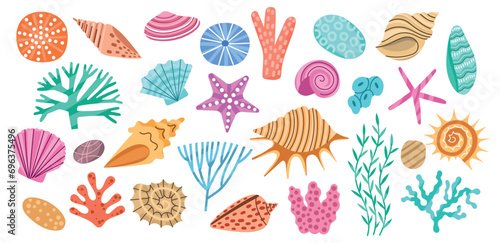 Cartoon seaweeds and corals. Color seashells, marine algae, underwater nature, doodle style conches, sea and ocean elements, vector set.eps