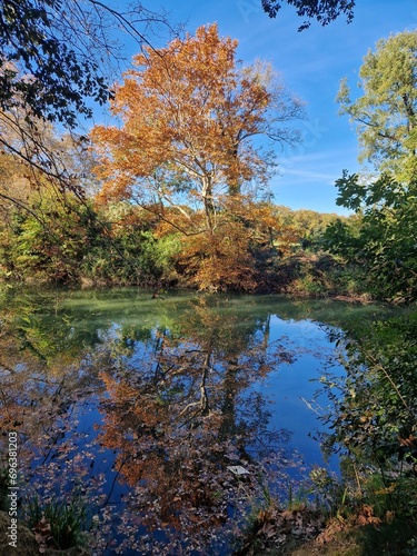 Couleur d'automne le long des rives du Lez. photo