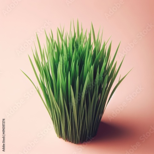 green grass on white