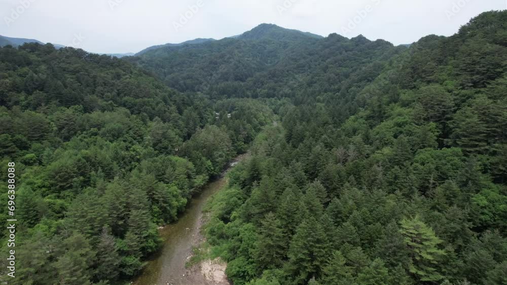 숲 풍경 자연 산 공원 드론 숲 풍경 자연 산 공원 드론