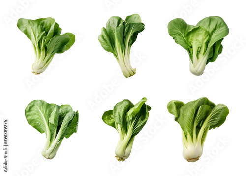 collection of bok choy vegetables isolated on a transparent background