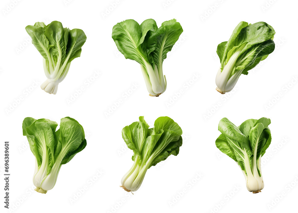 collection of bok choy vegetables isolated on a transparent background - obrazy, fototapety, plakaty 