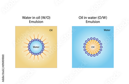 Emulsifier types, structure. Emulsion oil in water, water in oil. Emulsion, a mixture of two immiscible liquids. Emulsification, Surfactants. isolated on white background. Vector illustration