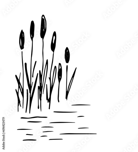 Simple vector drawing in black outline. Lake shore, reeds, calm water, river, swamp. Nature, landscape, duck hunting, fishing. Ink sketch.