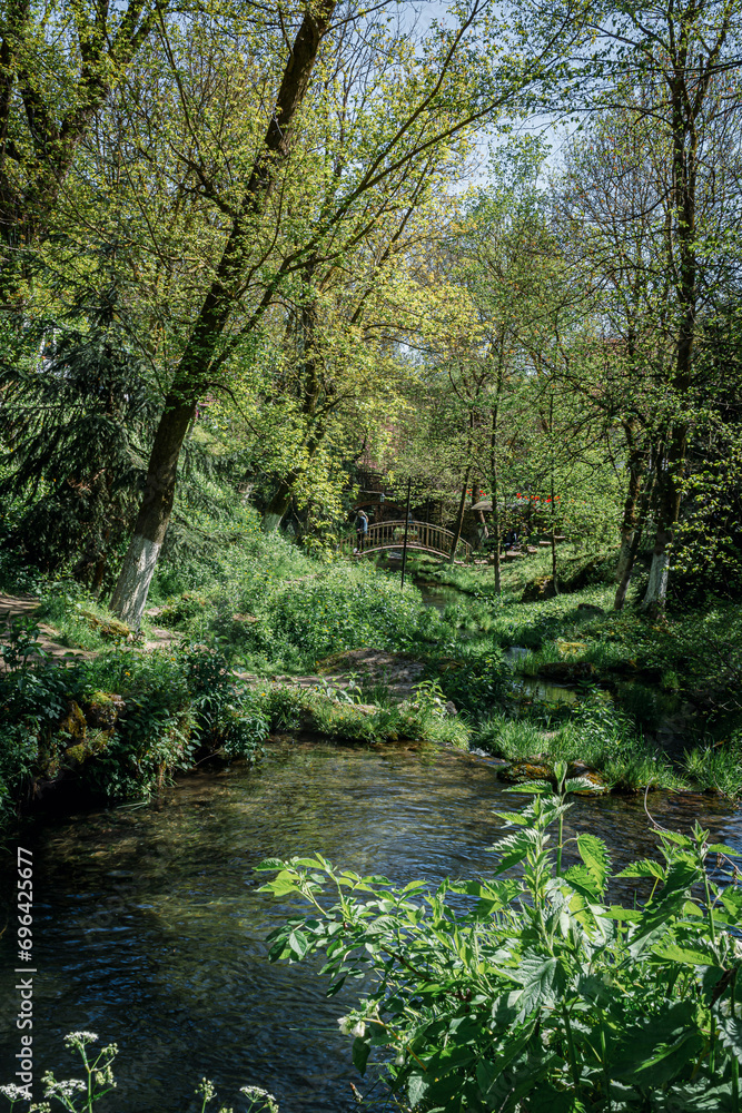 a bright green spring meadow with a stream a bright green spring meadow with a stream