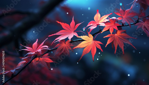 Red maple leaf wallpaper background. Autumn summer theme background art, fall colors with leaves. 4 seasons