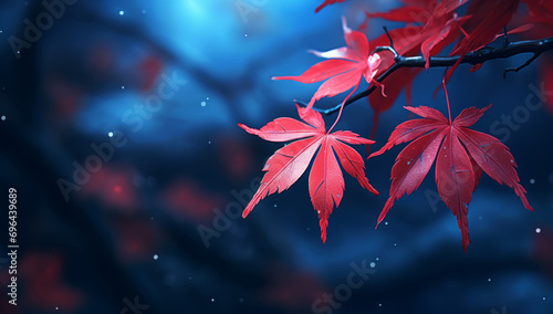 Red maple leaf wallpaper background. Autumn summer theme background art, fall colors with leaves. 4 seasons photo