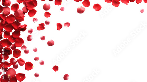 red heart frame flying love Isolated on transparent background,