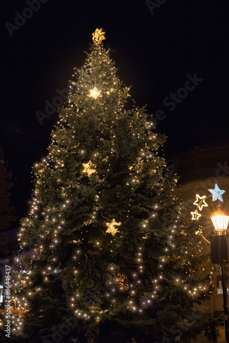 Christmas tree in the Night - Evergreen - Lights - Outdoor - Winter - Holiday - Background