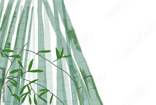 年賀状　寒中見舞い　背景　竹林