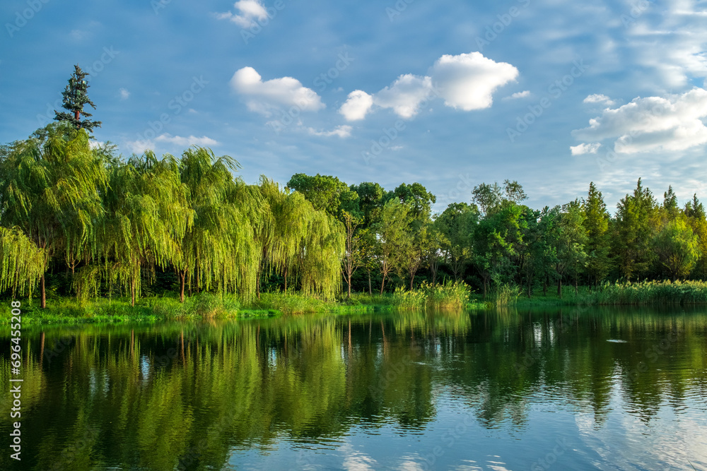 lake in the forest