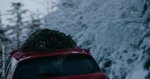 TRACKING Family driving home with a Christmas tree tied to a roof of a generic red car against beautiful mountain landscape (ID: 696461045)
