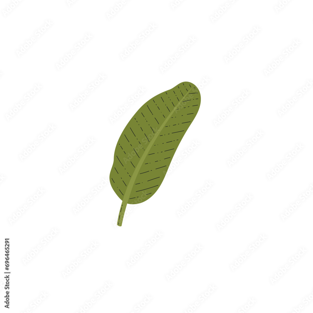 Obraz premium Big green tropical leaf flat style, vector illustration