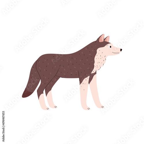 Cute standing wolf tundra animal side view flat style, vector illustration
