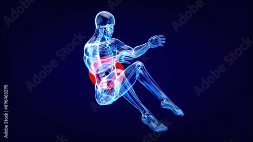 3D anatomy of a man doing situps