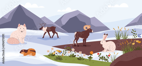 Arctic tundra wild animals and plants on nature landscape with mountains vector illustration, Northern taiga flora fauna photo