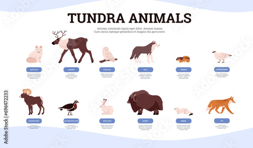 Infographic about tundra animals with names flat style, vector illustration photo