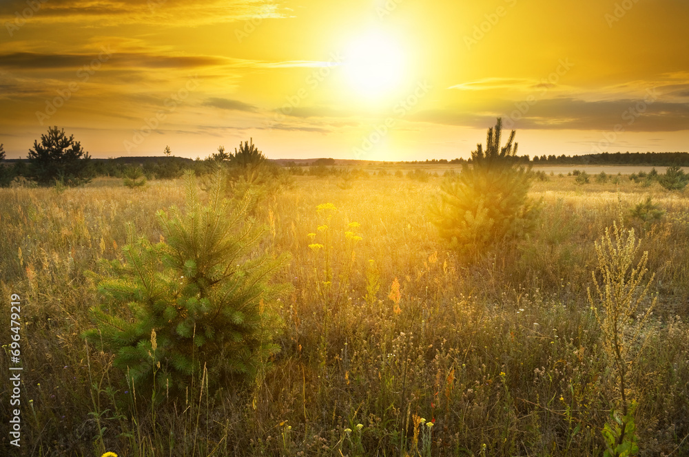 Obraz premium Summer landscape