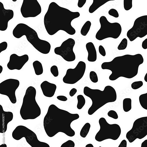 Black and white spotted cow skin texture background. To design square banners, postcards, social media posts. Themes of farming, dairy products, milk, organic food. © alexanderze