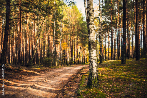 Fototapeta Naklejka Na Ścianę i Meble -  Złota Jesień