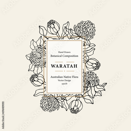 Line art waratah frame. Australian native flowers