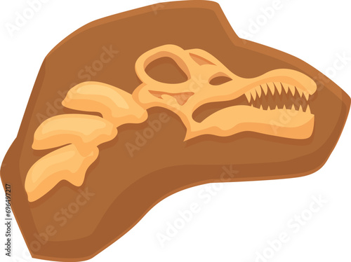 Bone soil mud layer icon cartoon vector. Clay land evolution. Learning ground
