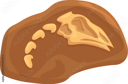 Ground dinosaur sediment icon cartoon vector. Soil mud layer. Biology museum