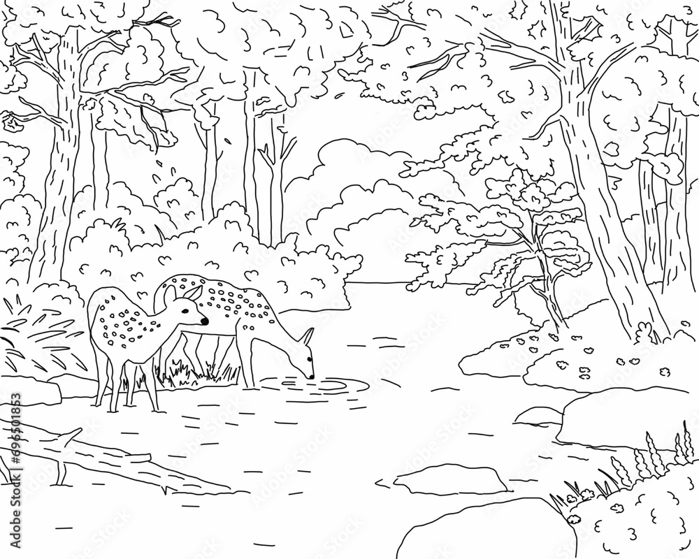 animals in the woods