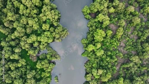 Aerial topdown shot of river shore and mangrove forest in Mumbai, India.  photo