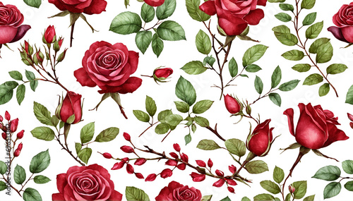 Collection of Watercolor Rose Elements with Red and Burgundy Flowers  Leaves  and Branches  Botanical Illustrations Isolated on White Background