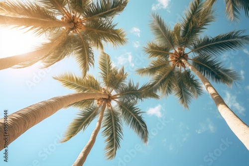 Palm trees standing tall against a beautiful blue sky. Perfect for tropical vacation themes or summer travel concepts