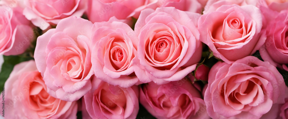 An Exploration of Pink Rose Varieties and Their Significance An Exploration of Pink Rose Varieties and Their Significance
