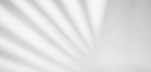Shadow overlay effect isolated on transparent background, png. Light and shadows from window. Mockup of transparent shadow overlay effect and natural lightning in room interior	